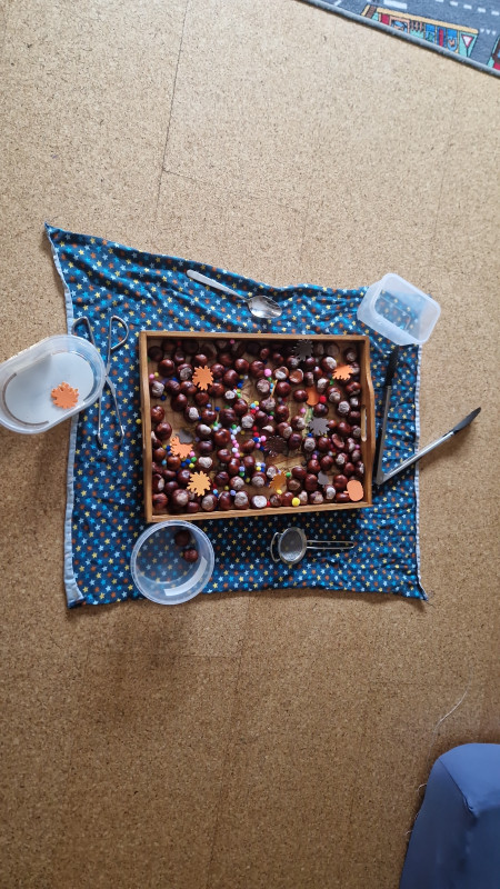 IMG-20251005-WA0000 IMG-20251005-WA0000